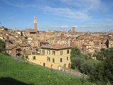 5-3_Siena (27).JPG